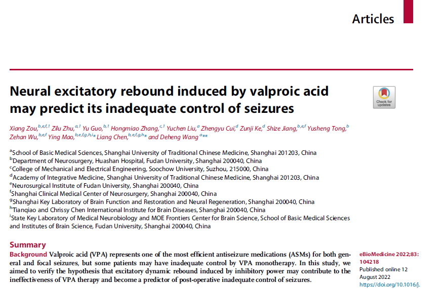 我校基础医学院王德恒在The Lancet子刊eBioMedicine发文揭示丙戊酸钠抑制癫痫发作的神经机制